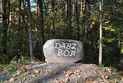 Darz Bor